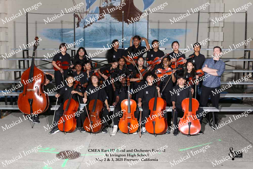 Musical Images